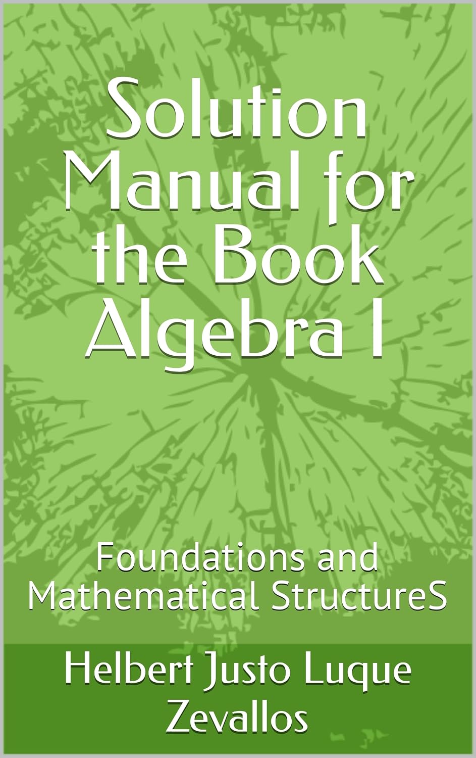 Solution Manual for the Book Algebra I: Foundations and Mathematical StructureS (Solution Manuals of the Bachelor's Degree in Mathematics Series)