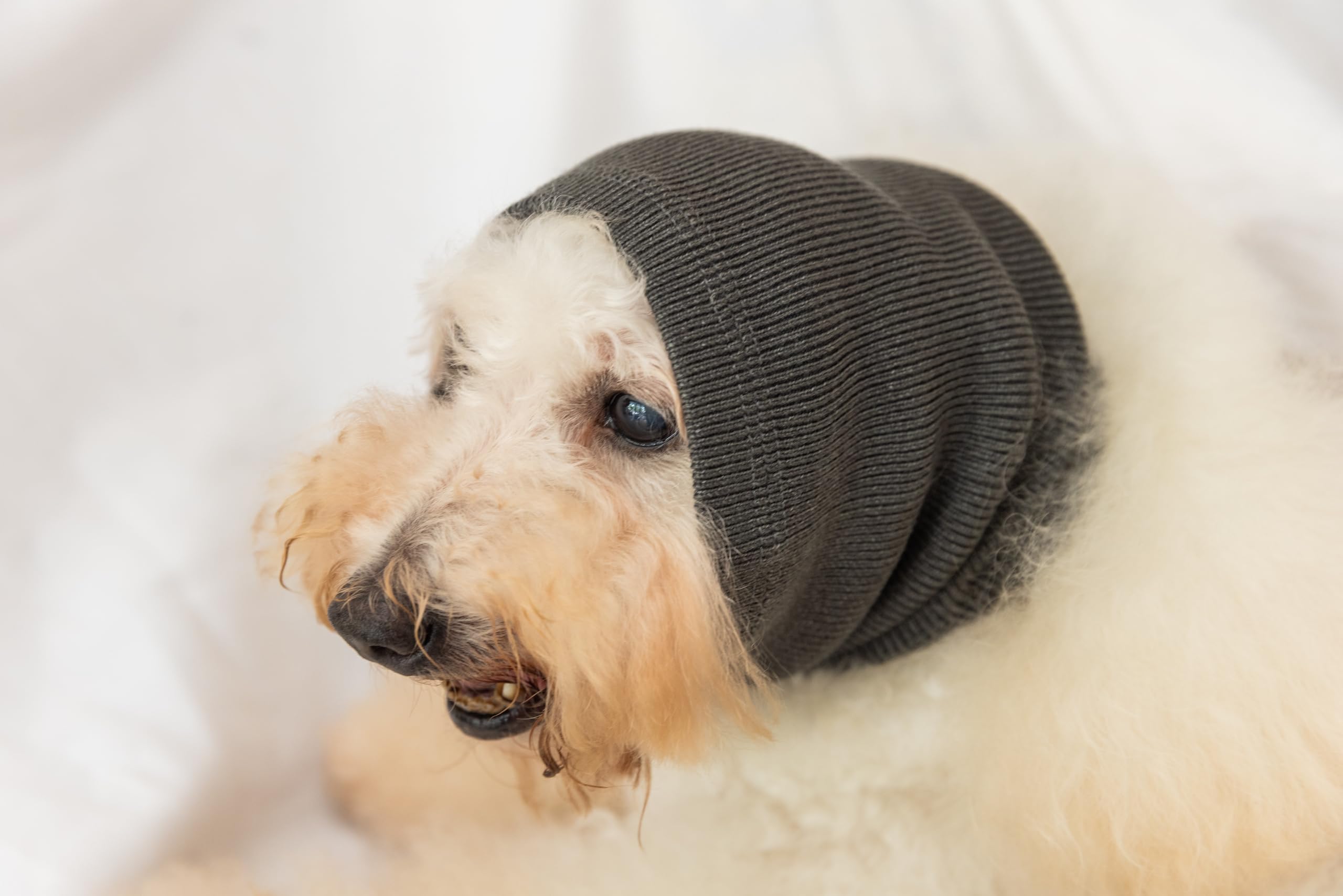 FDANDADE Dog Hematoma Ear Wrap,Pet Ear Head Wrap Anxiety Relief – Noise Canceling for Fireworks, Thunderstorms, Pet Grooming & Force Drying(Grey M) — image 1