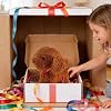 Robotic Dog,Interactive Robotic Pet Remote Kit with Music - Robot Dog That Acts Like a Real Puppy | for Playing Learning Kids Boys Birthday Party Indoor Home Decor Classroom