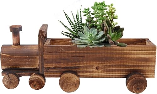 Sempoda Maceta creativa de madera para plantas suculentas, maceta con forma de tren de dibujos animados, bonsái, bonito adorno rústico para