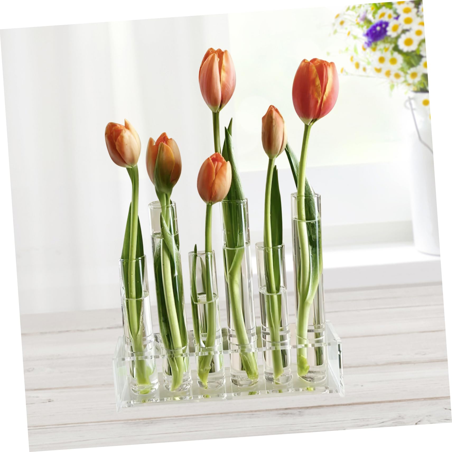 POPETPOP Tube à Essai Verre Transparent pour Plantes Hydroponiques pour Décors De Bureau Et Stations De Propagation Vase Décoratif