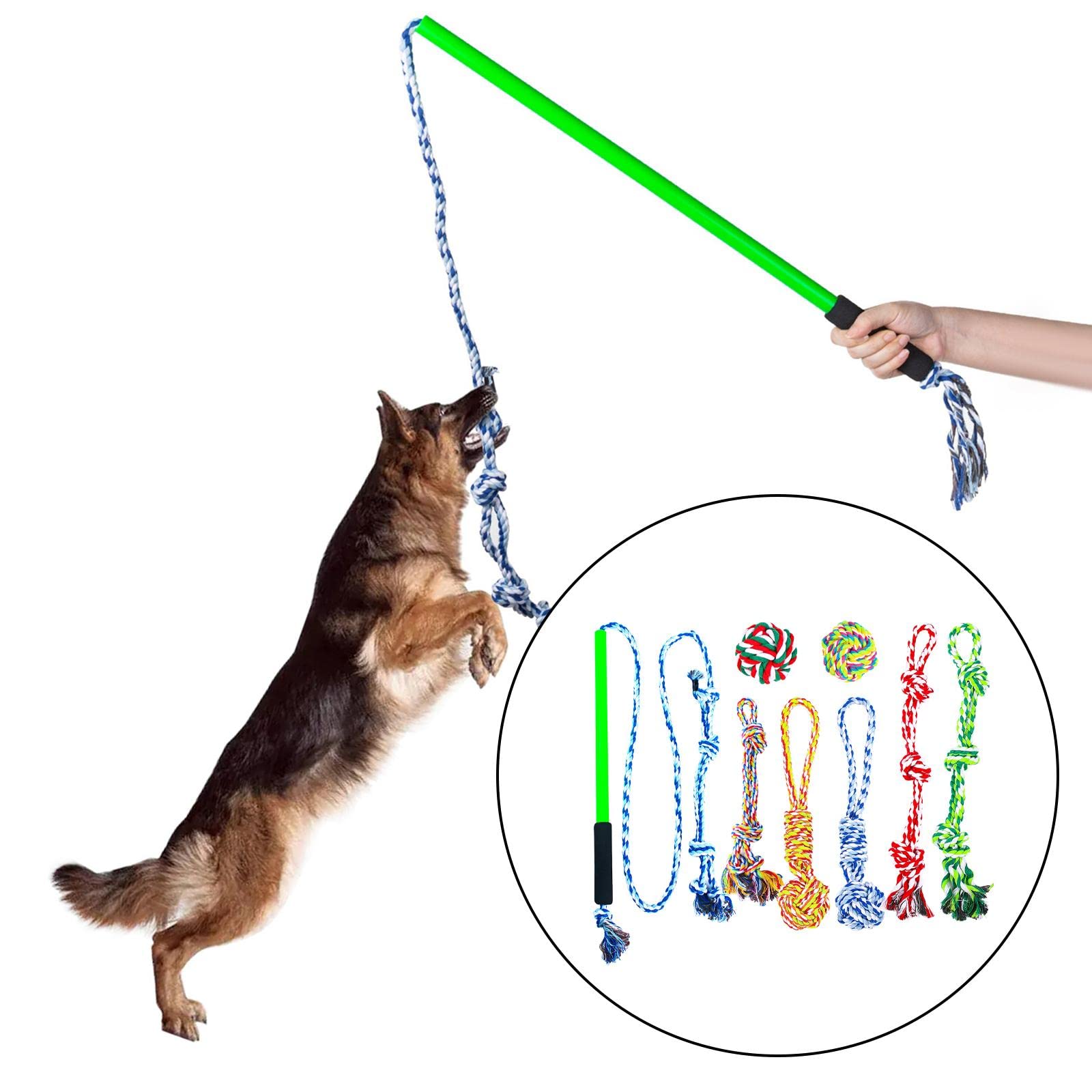 MagiDeal 8 Piezas de Poste de coqueteo, Poste de coqueteo para Perros, Cuerda de Masticar para Mascotas, Juguete de Cuerda de Ejercicio de Entrenamiento, Azul S