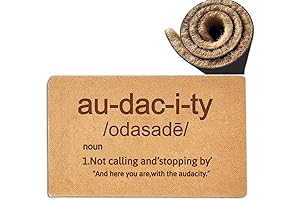 Welcome Doormat, Audacity Door Mat Non-Slip Funny Outdoor Mat