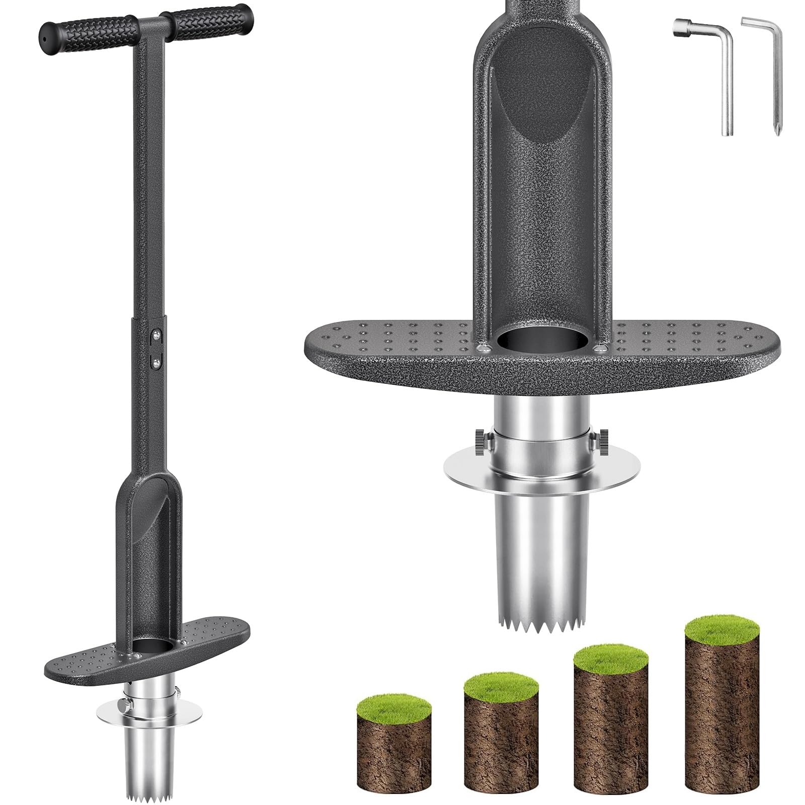 23.3 : La bouche, le pharynx et l'œsophage - Global, image size:1600x1600