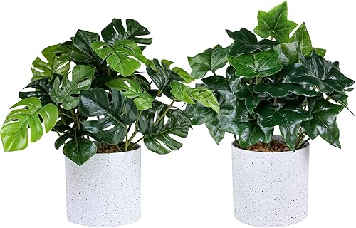 Miniatura 2 de Winlyn Juego de 2 plantas artificiales pequeñas en maceta, hiedra tropical realista de Monstera en macetas blancas con aspecto de piedra, vegetación