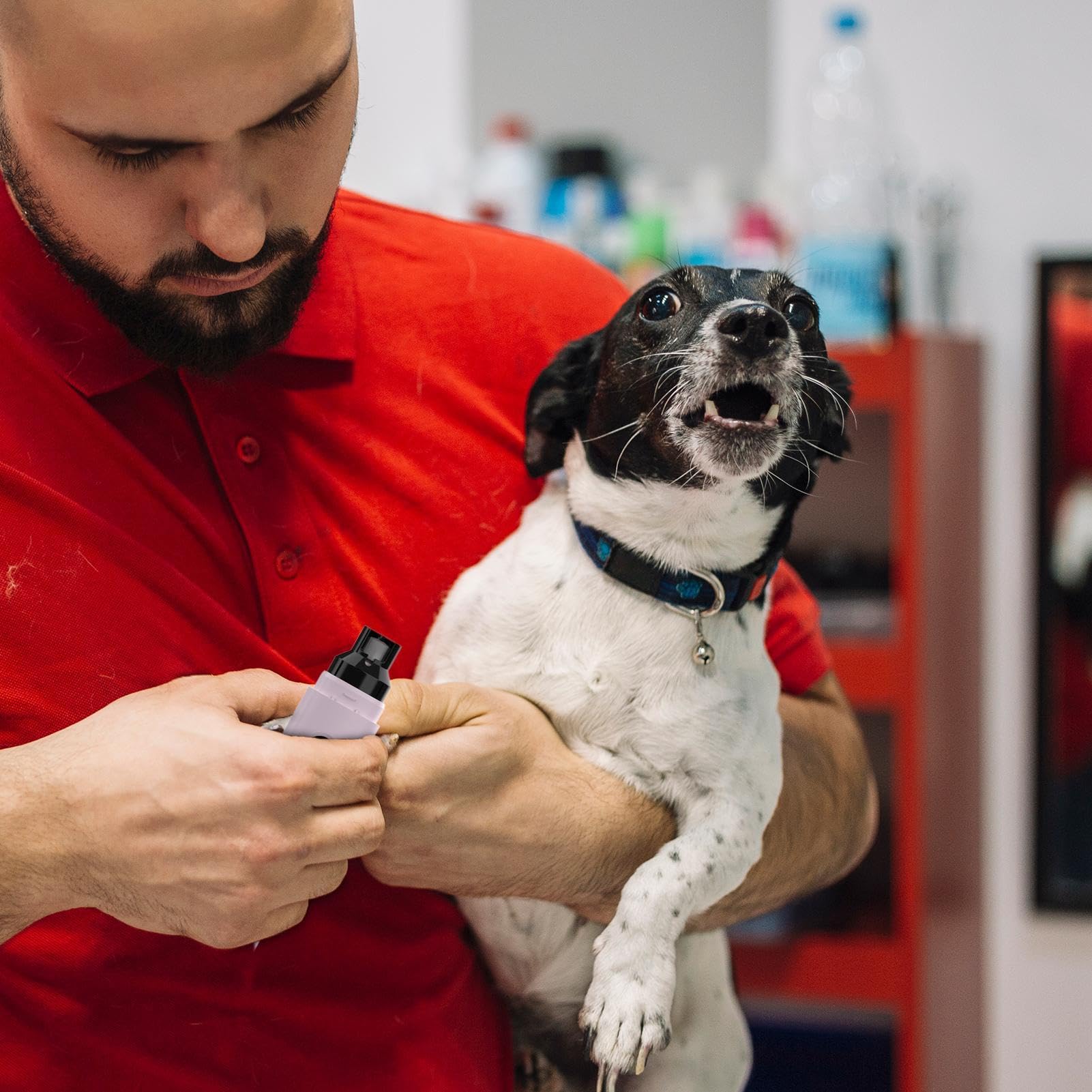 Lime À Ongles Pour Chien Soin Des Griffes Portable