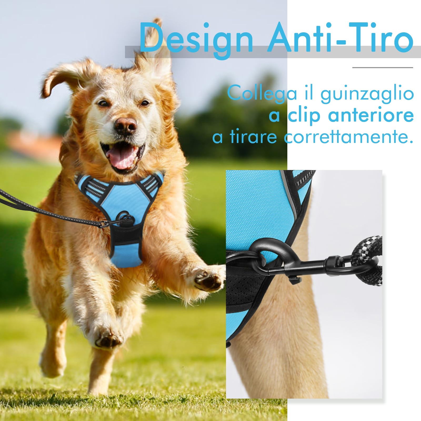 rabbitgoo Pettorina Cane Taglia Piccola, Pettorina Cane ad h Regolabile con 2 Ganci in Metallo, Pettorina per Cani Anti Tiro Riflettente, Imbracatura Cani Traspirante per Addestramento(S, Blu Chiaro)