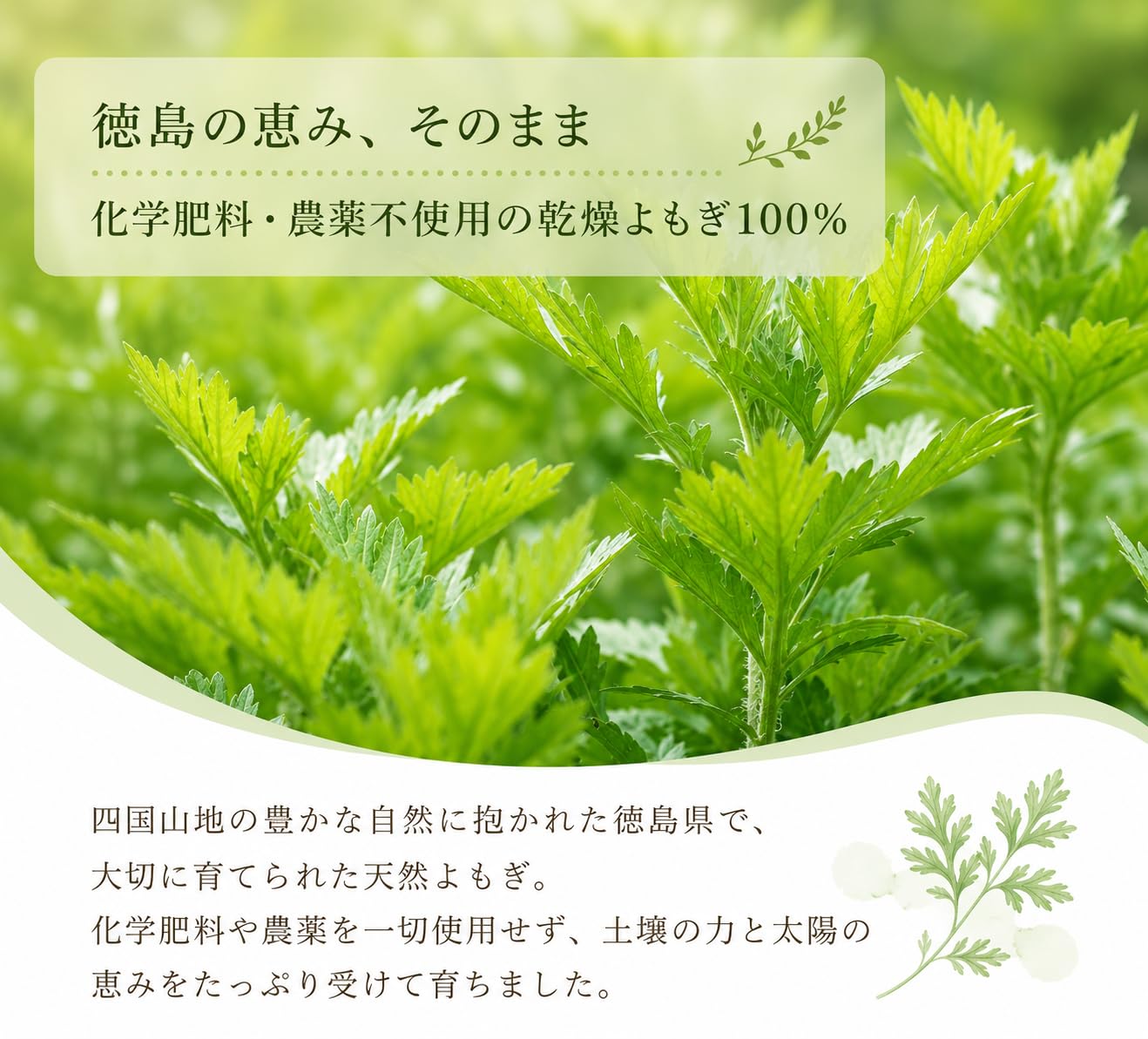 Amazon | 【特選】乾燥よもぎ(国産 徳島県産)よもぎ風呂 入浴剤用