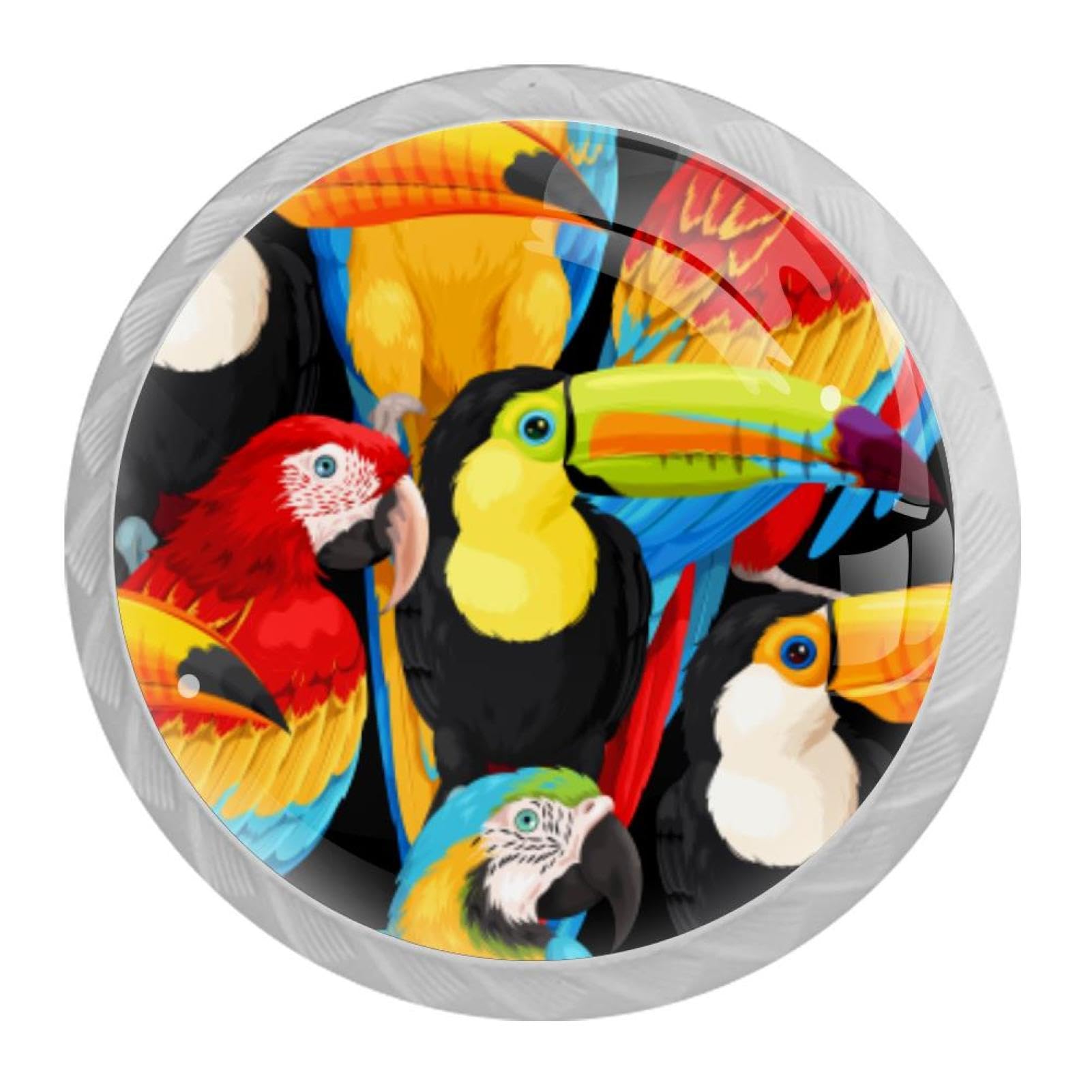 Tqmspg 4 Pieces Drawer Pulls Toucan Parrot Birds Door Knobs Dresser Handles for Kitchen Wardrobe Cupboard Hardware Furniture