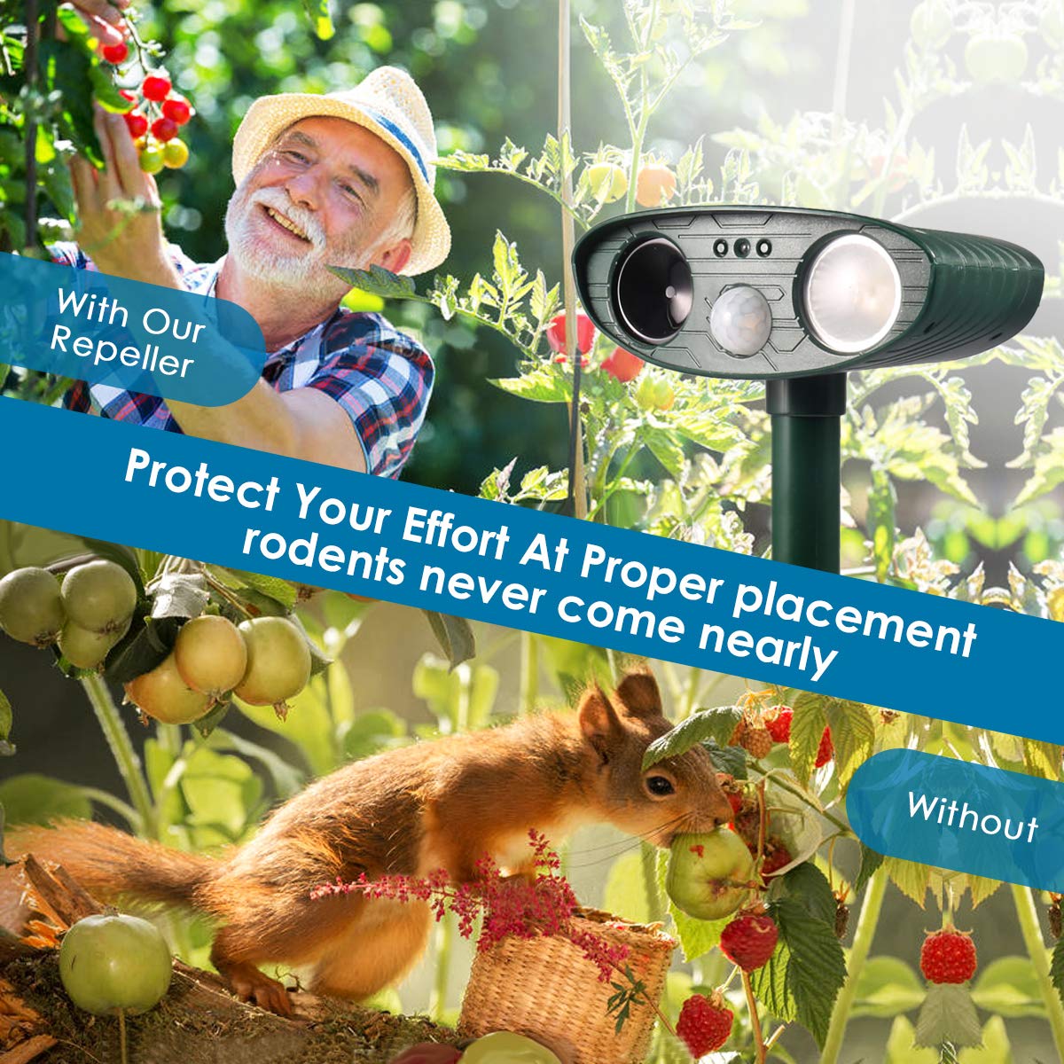 Buy Garden Cat Repellent, Ultrasonic Animal Repellents, Solar Powered