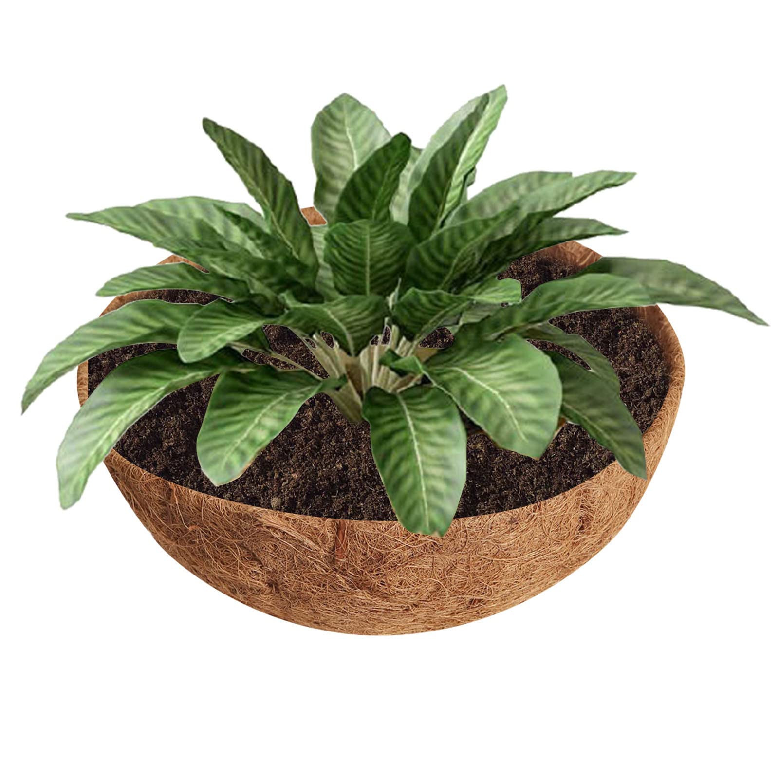 Lot De 3 Doublures En Fibre De Coco Naturelle Pour Paniers Suspendus - 35,6 Cm - Rétention D'Eau & Écologique
