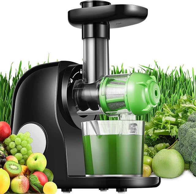 hhnn Juicer Machines, Slow Masticating Juicer Easy to Clean, Cold Press Juicer Extractor with Quiet Motor & Reverse Function for Vegetable and Fruit, Multicolor