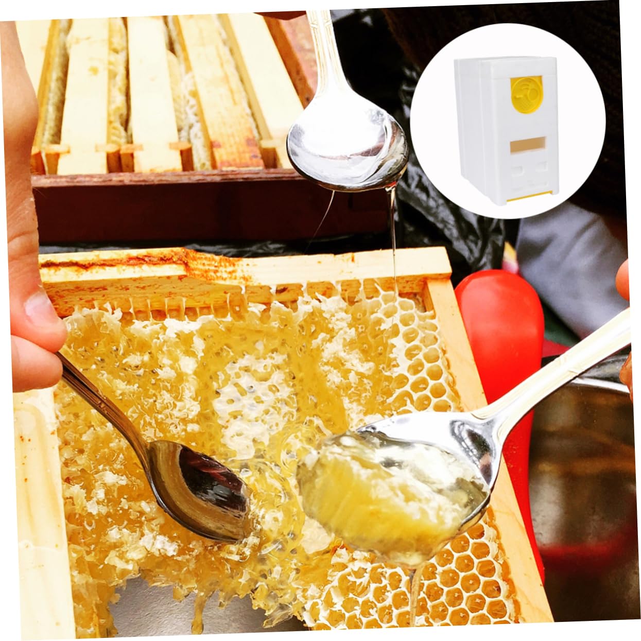 Caja de Almacenamiento para Abejas de Doble Caja de Mating de Abejas Accesorio de Apicultura Herramienta Práctica para Cuidadores de