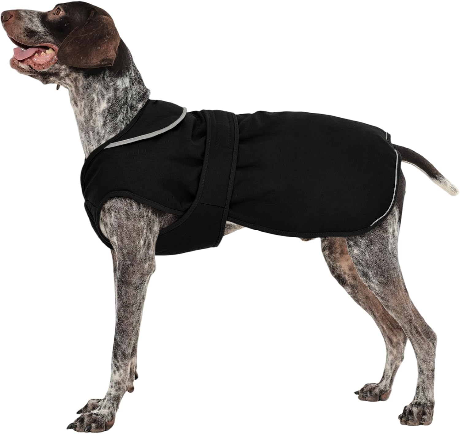 Kuoser kutyakabát termék