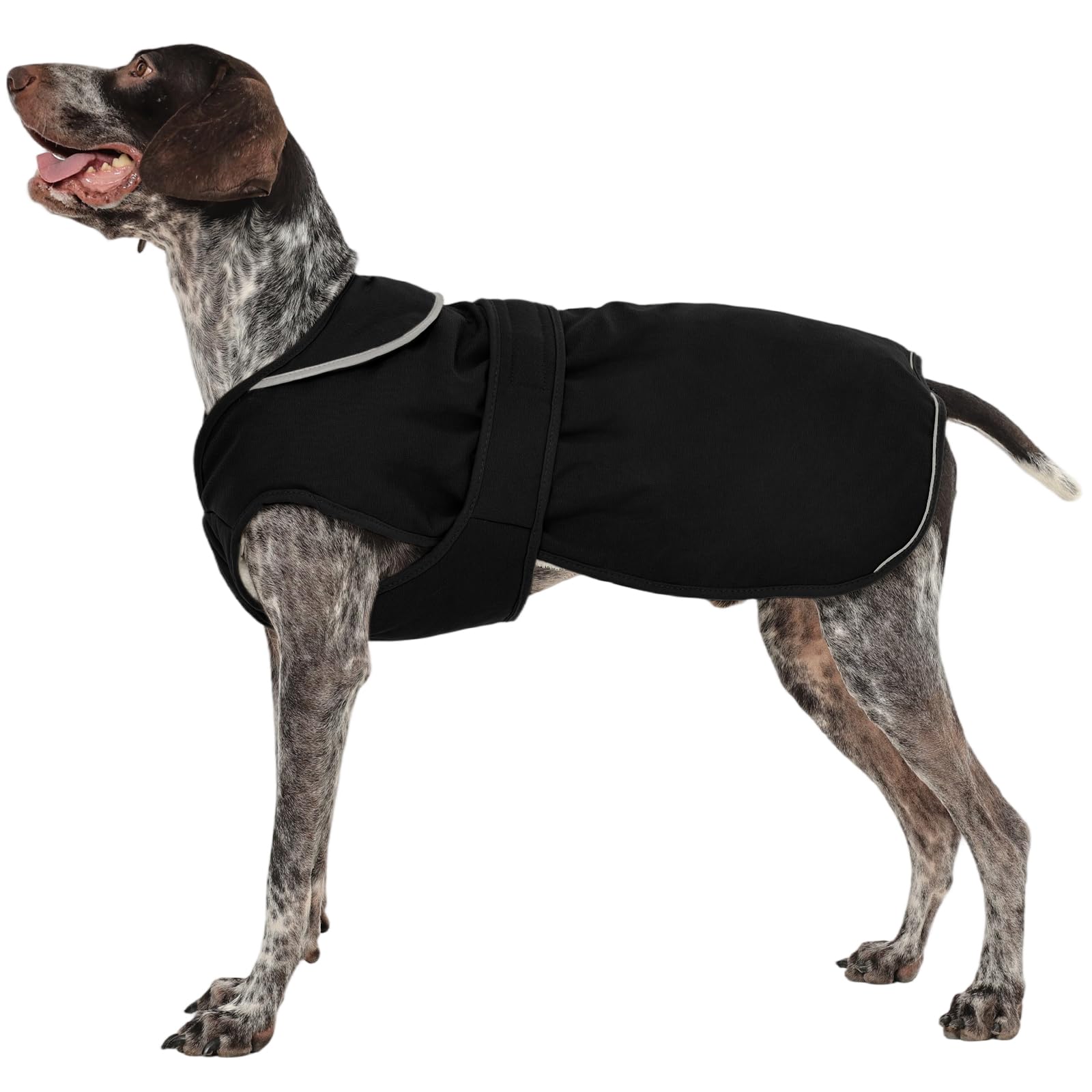 Veste pour chien de petite taille à grand chien manteau d'hiver polaire et imperméable