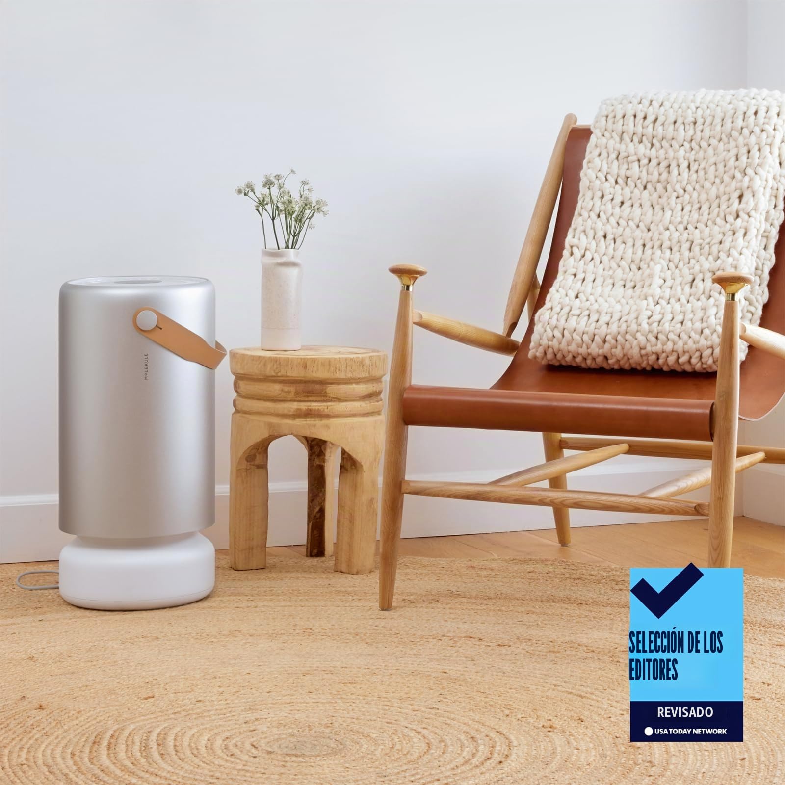 Molekule Air Pro Purificador de Aire para Grandes Habitaciones y Oficinas hasta 93m² - Filtro PECO, Alexa, Destruye Alérgenos, Bacterias, Virus, Humo, Moho, COV, Modo Automático, Sensor de Calidad
