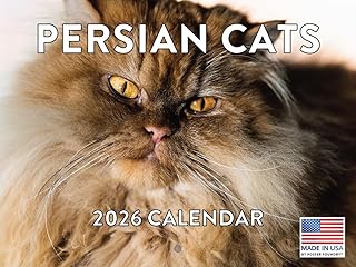 ペルシャ猫カレンダー 2026年 壁
