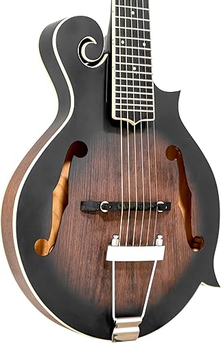 Miniatura 3 de Gold Tone, Mandolina de 6 cuerdas, Sunburst (F-6)