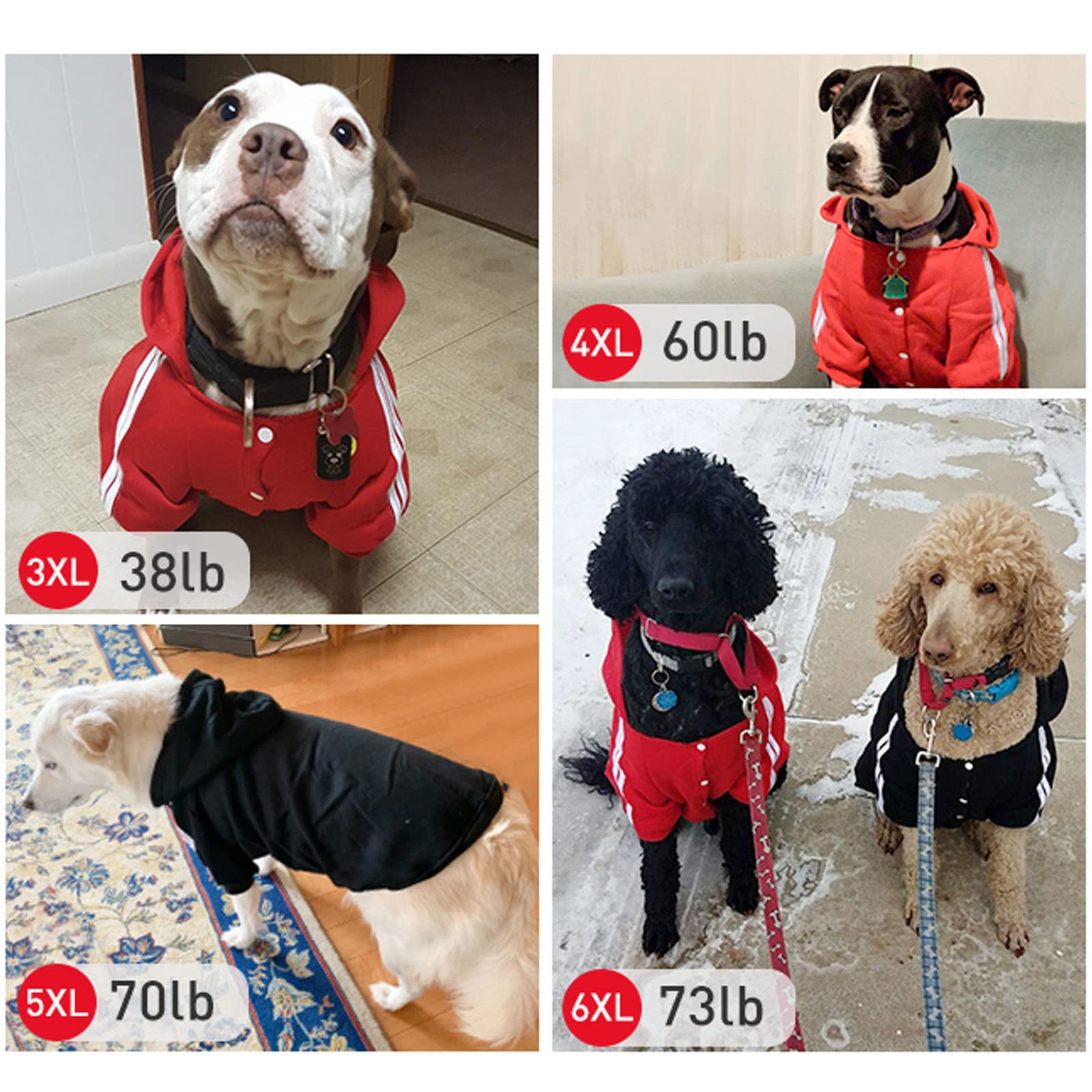 big dog sweaters amazon