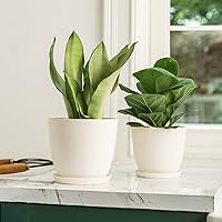 Vista 3 de Mkono - Juego de 5 macetas de plástico con platillo de 7.5 pulgadas, para interiores, color crema blanco