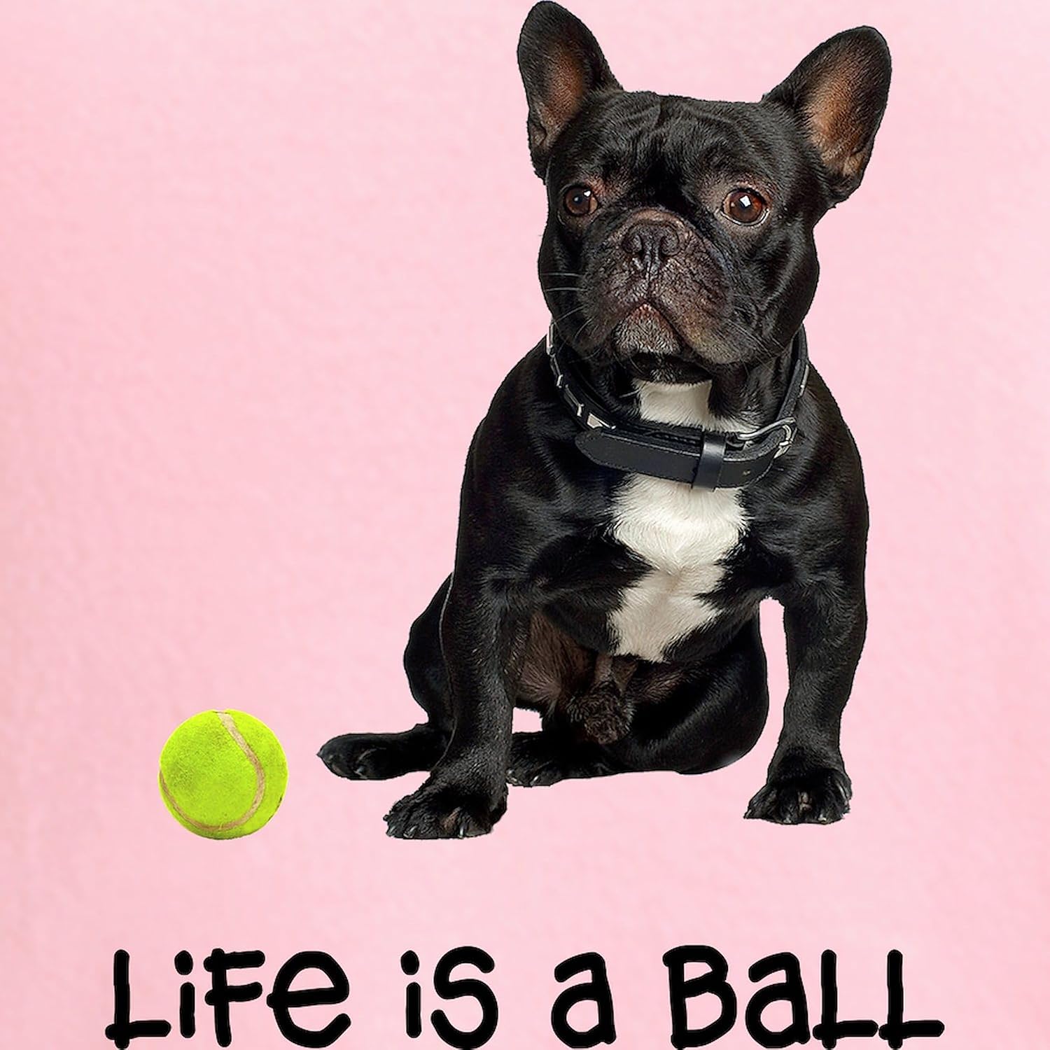 CafePress French Bulldog Life Women's Nightshirt, Soft Long Pajama Shirt, Cotton PJs/Pyjamas