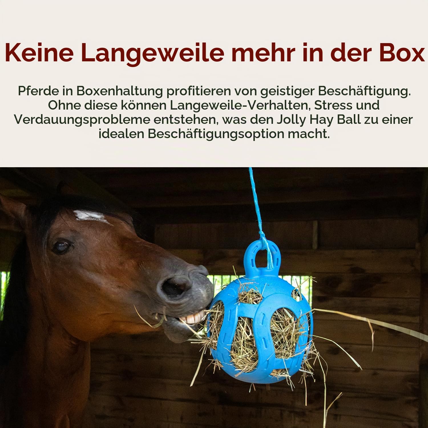 Horsemen's Pride Jolly Hay Ball Stall Spielzeug für Pferde