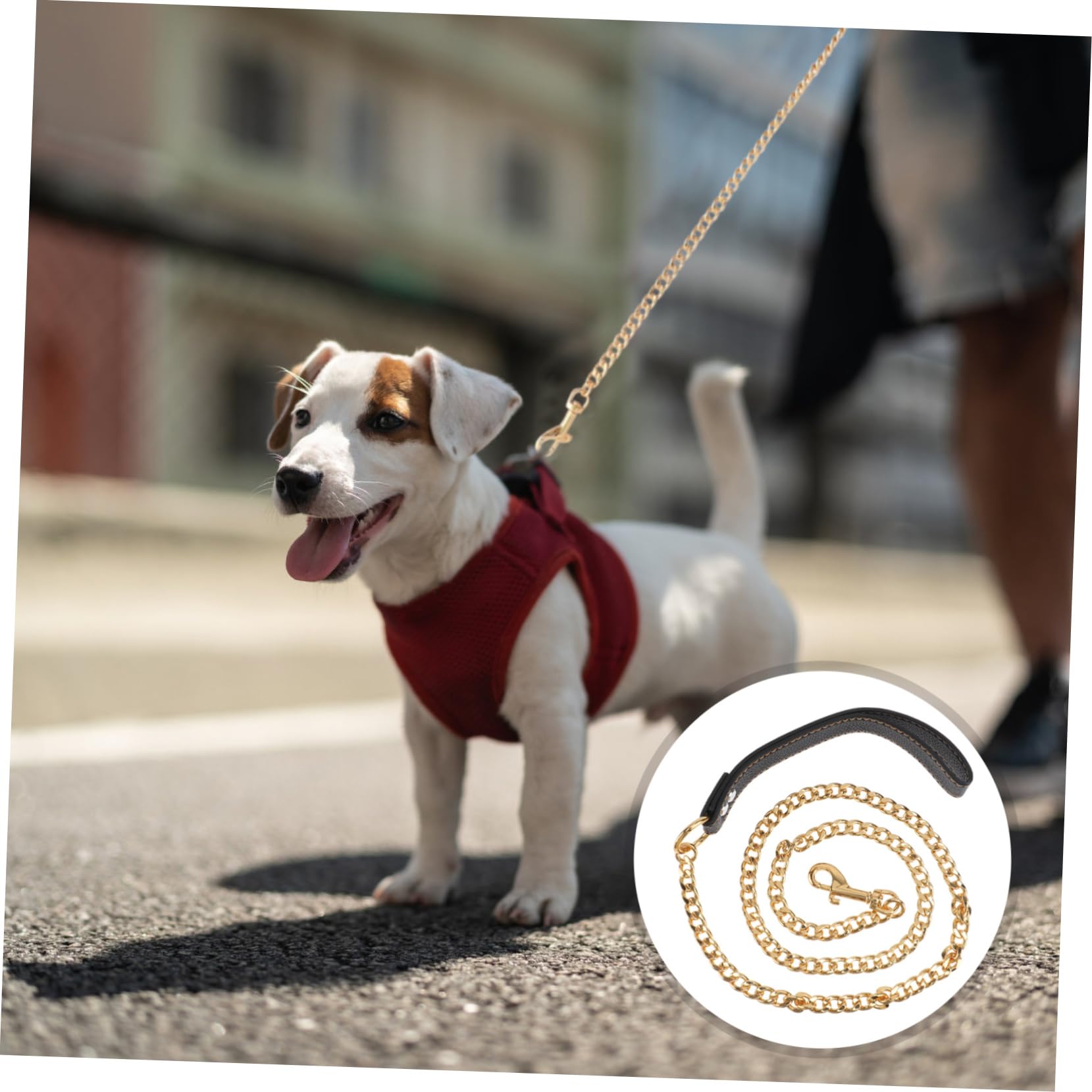 Guinzaglio Camminata in Acciaio per Cani Controllo Dorato Inox