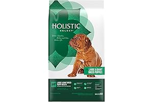 Holistic Select Natural Large & Giant Breed Puppy Food: Nurture Your Growing Canine Companion