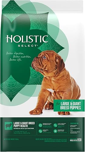 Holistic Select Alimento seco natural para perros, receta para cachorros de raza grande y gigante, bolsa de 30 libras
