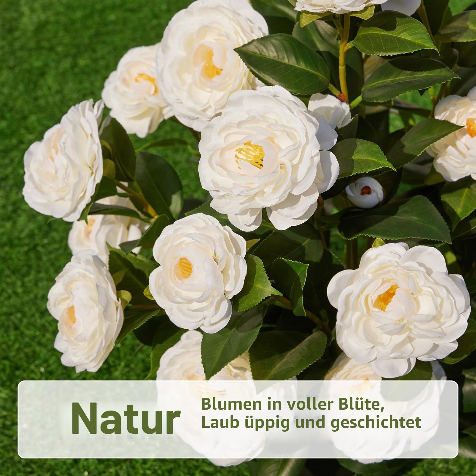 VeriNatural Künstlicher Kamelienbaum Weiß 60cm Kunstpflanze im Topf 2 Stück