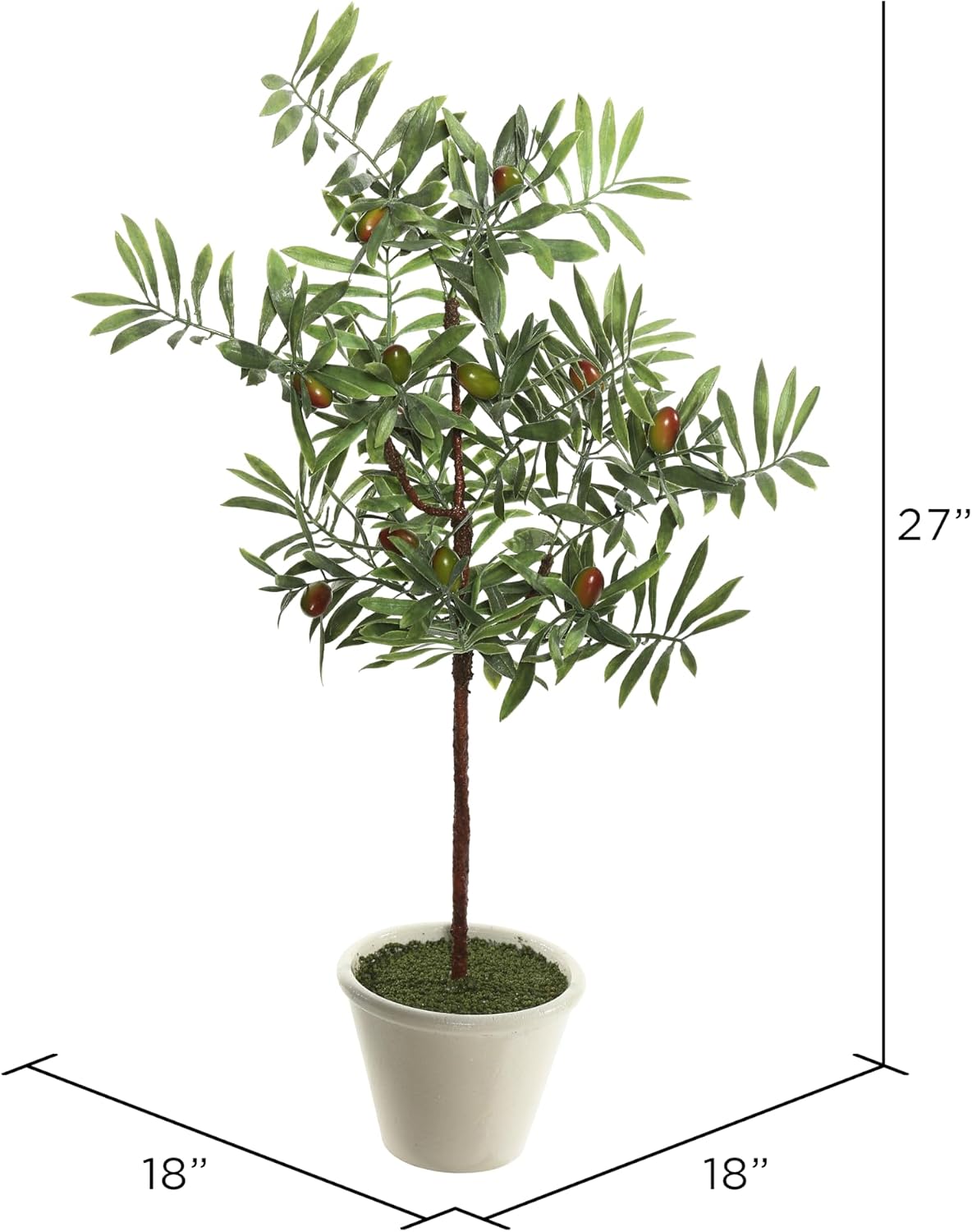 Vickerman 27" Artificial Green Olive Hill Tree - Realistic Olive Tree in Round White Container - Small Artificial Tree - 5.57''L x 4.5''H Pot - Maintenance Free - Polyester - Greenery