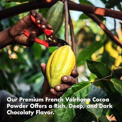 Miniatura 5 de Le Food Got Chia! Superfood Latte  Choco Maca Magic  Bebida superalimentaria de chocolate con semillas de chía  Etiqueta limpia  Cacao rico,