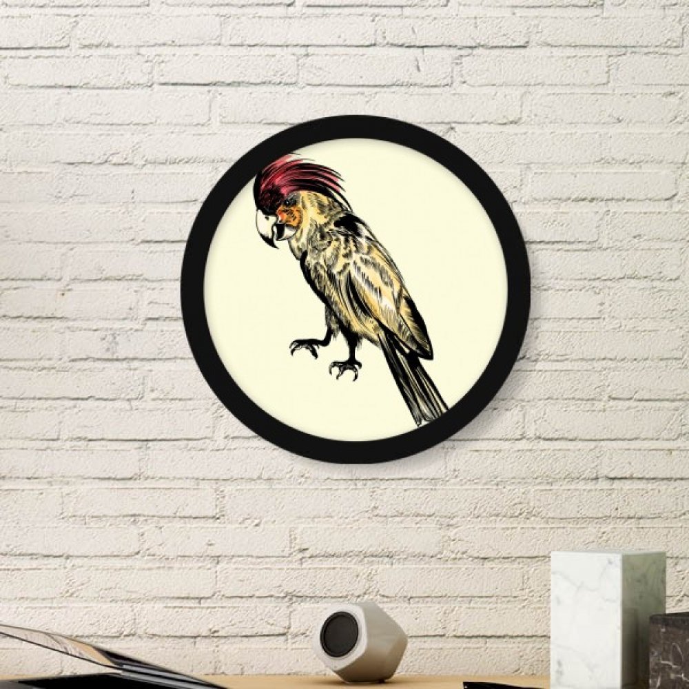 Peinture perroquet cadre photo rond bois noir cadeau original