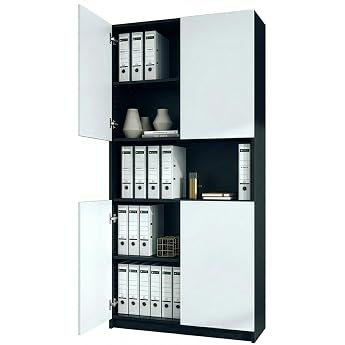 InnoFurn Elona M2 Filing Cabinet, Office Cabinet with Soft-Close &amp; Push-to-Open, Storage Cabinet, Office, Home Office, Living