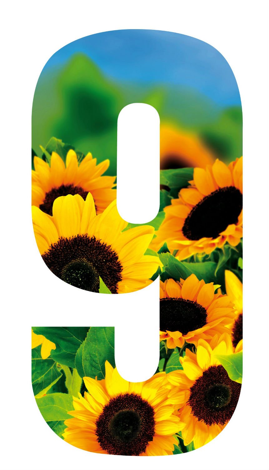 MONOGRAM Classic Signs Wheelie Bin Number Sunflower 9