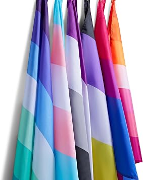 Runesol Progress Pride Flag 3x5, 91x152cm, LGBTQ+ Intersex Rainbow, 4 Grommets, Brass Eyelet in Every Corner, Parade, Festival, Party, Carnival, Premium Flags, Inside, Outside, Vivid Colours