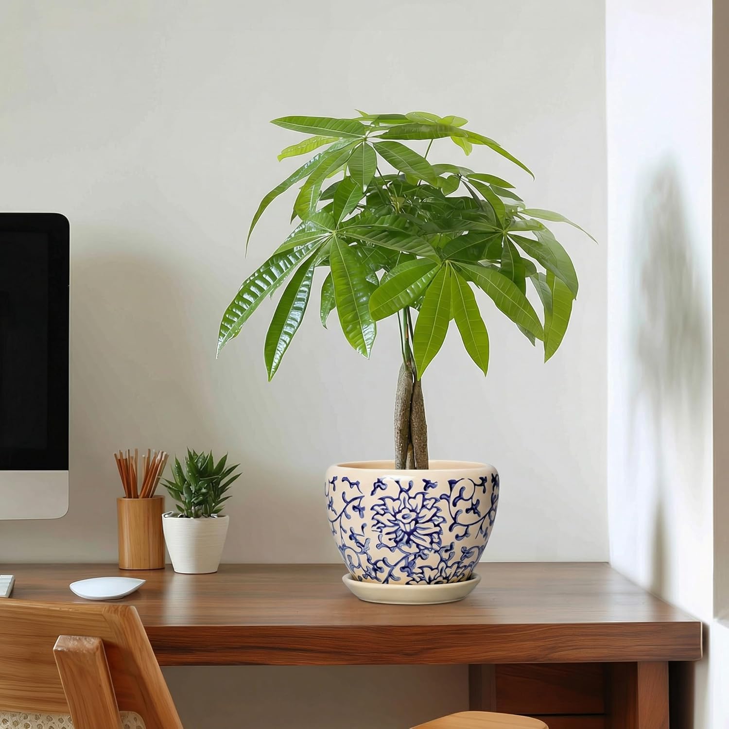 6 Inch Plant Pot - Ceramic Planters for Succulent Snake Plants, Round Pots for Plants with Drainage Hole and Saucer, Indoor Flower Pots, Living Room Decor, Gardening Gifts, Retro Blue