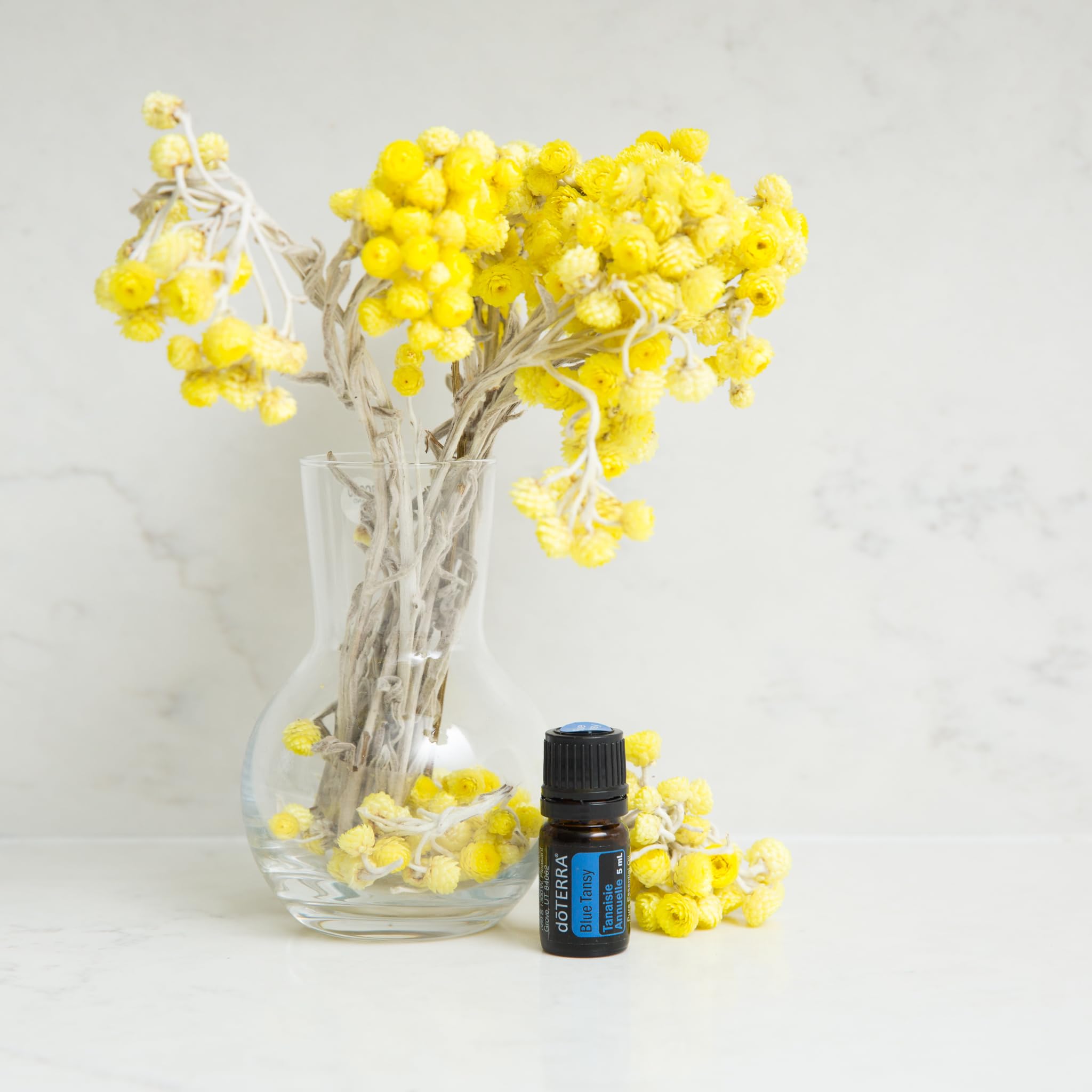 Amazon.com: doTERRA Blue Tansy Essential Oil - 5 mL : Health