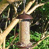 Vista 6 de Paquete de 2 comederos anchos de metal para pájaros, comedero colgante para pájaros al aire libre con capacidad de 1.6 libras, cordón de alambre