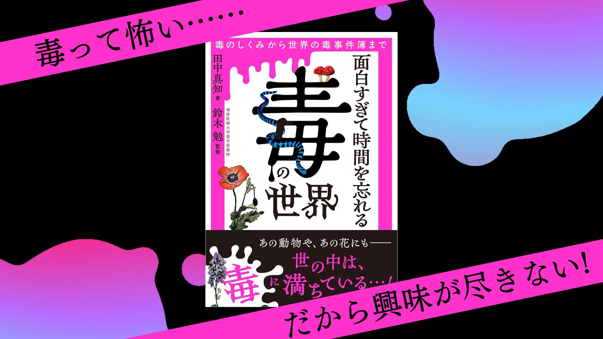 恐ろしいほど当たる算命学 (王様文庫) 恐ろしいほど当たる算命学 (王様文庫 C 27-1) | 礪波 洋子 |本 | 通販