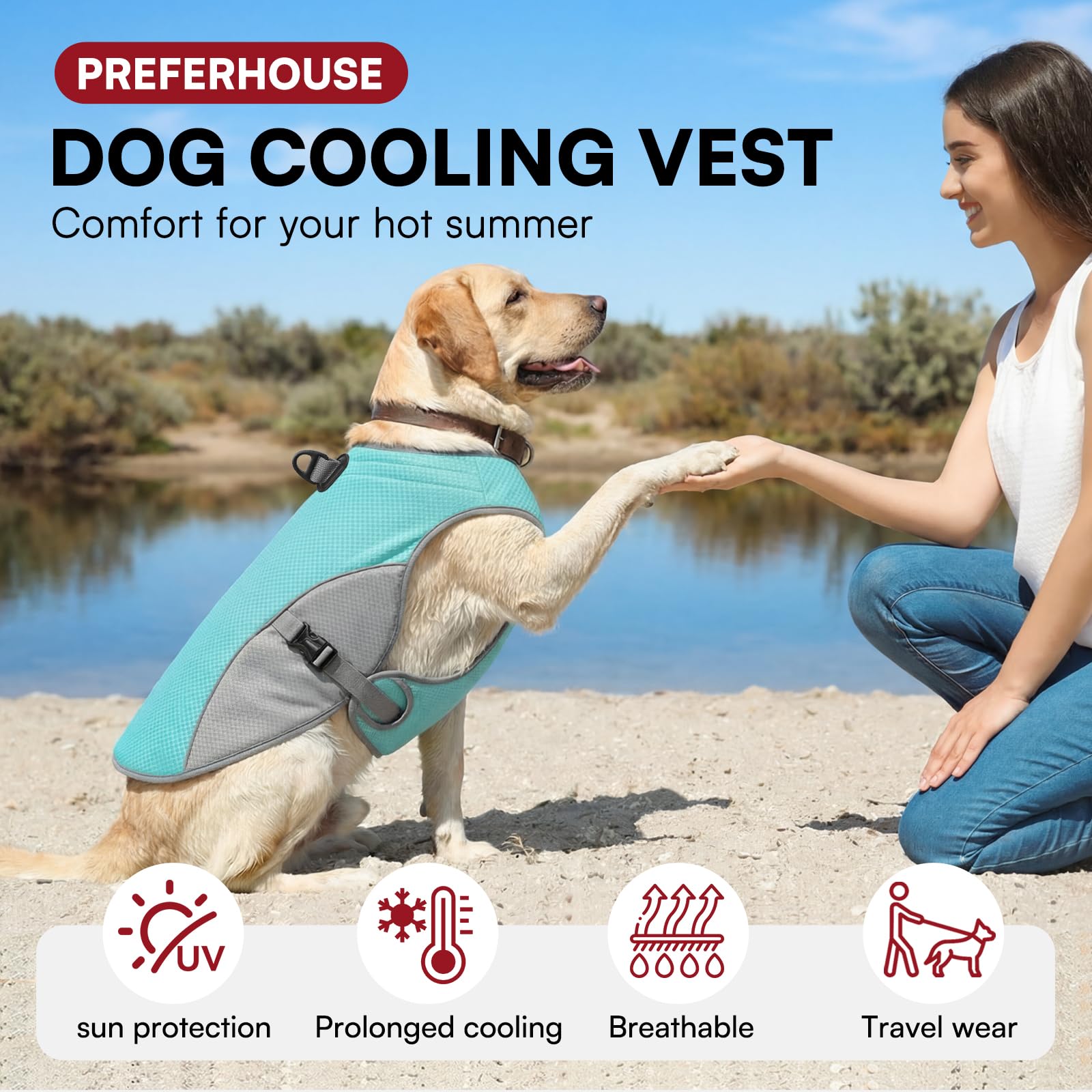 Dog Cooling Jacket for Large Dogs, Pet Cooling Vest with Mesh and D Ring, Dog Reflective Stripe Cooler Jacket for Beach, Hiking, Walking, Blue-L — view 5