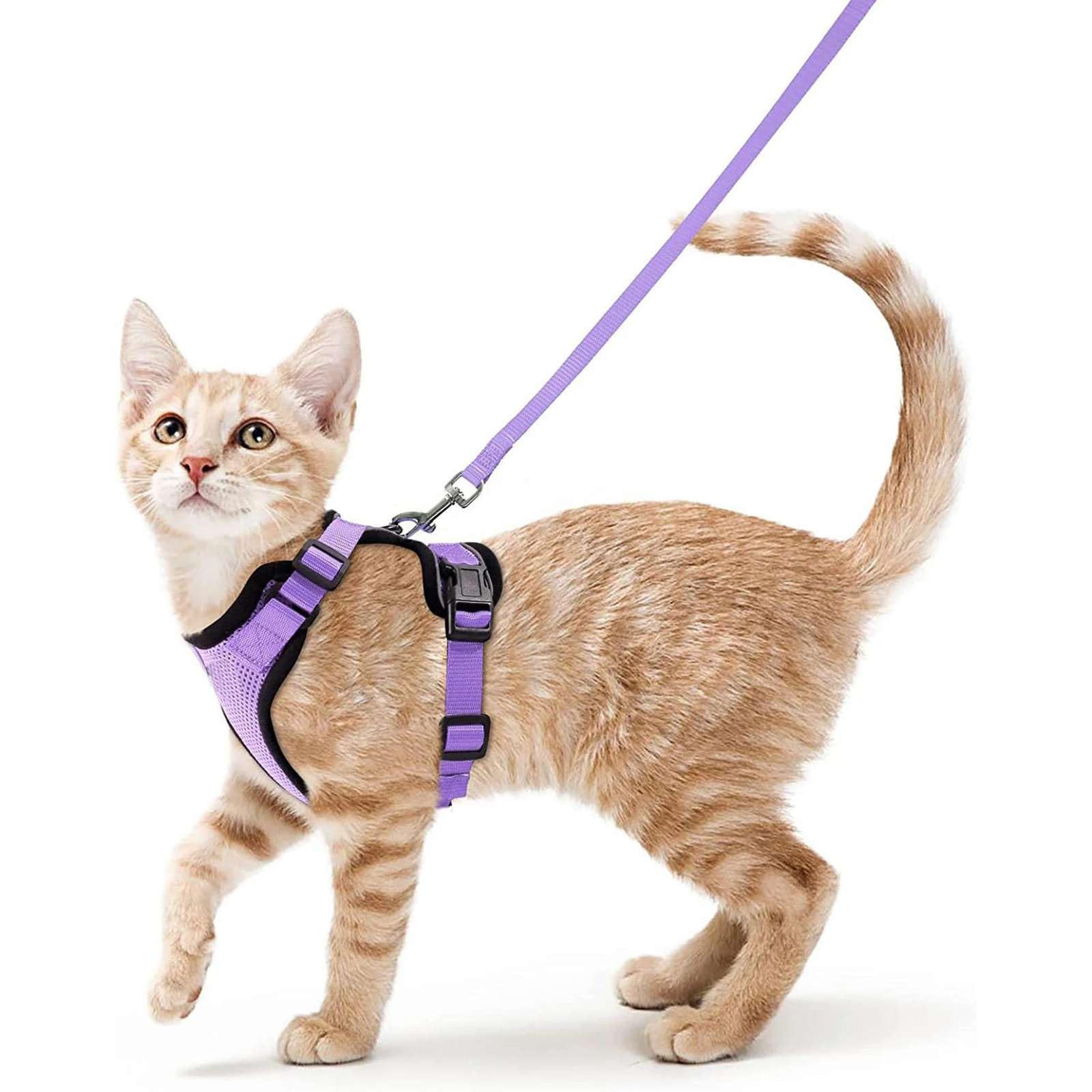 Arnés y Correa para Gatos para Caminar, arneses de Chaleco Ajustables Suaves a Prueba de Escape para Gatos
