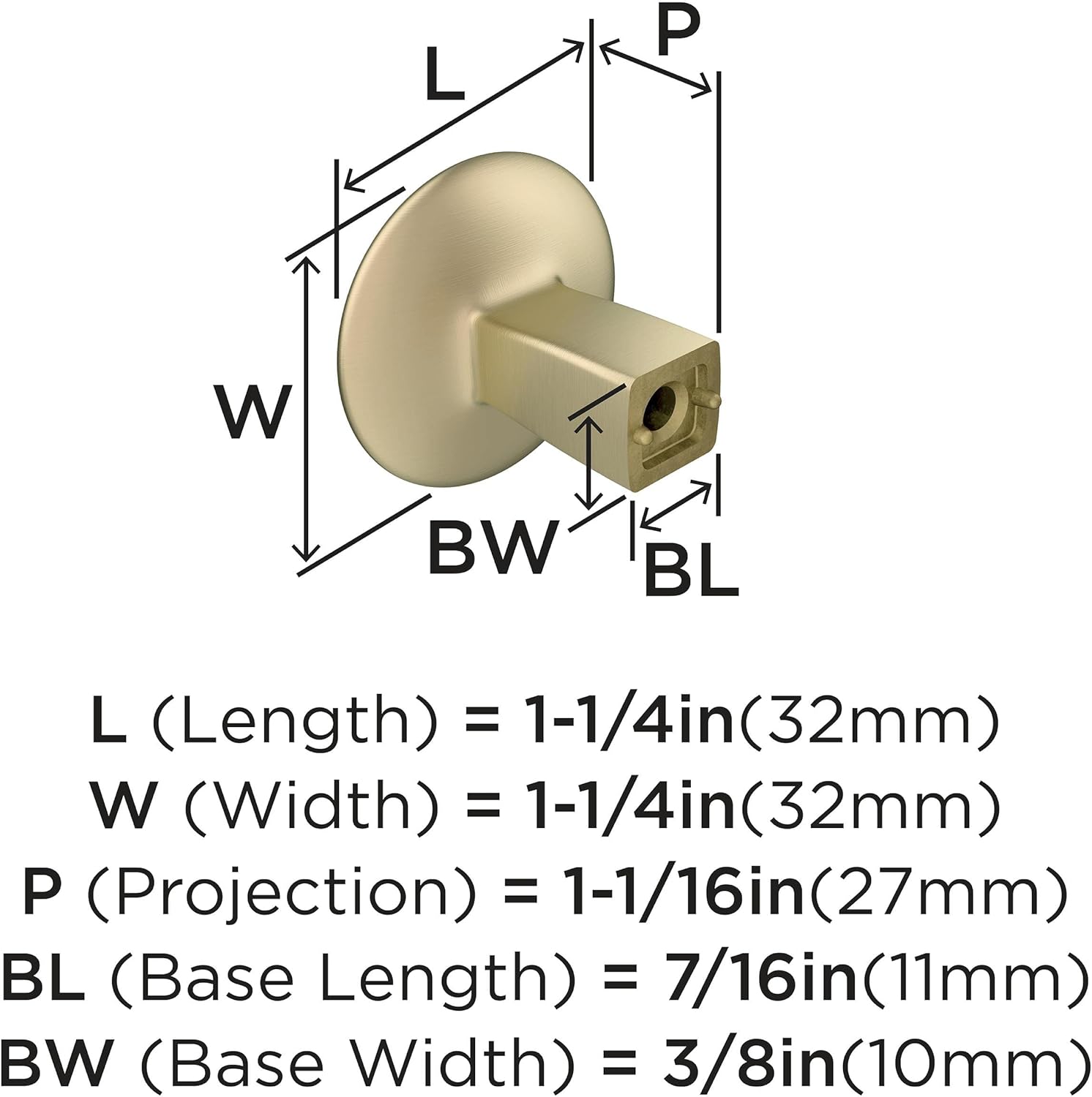Amerock | Cabinet Knob | Golden Champagne | 1-1/4 inch (32 mm) Diameter | Riva | 1 Pack | Drawer Knob | Cabinet Hardware