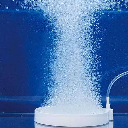 Amazon Co Jp エアーストーン 空気石 バブルストーン 気泡放出 気泡ディフューザー 細かい泡 水族館 気泡放出 魚タンク 水槽装飾 F100mm低圧ナノディスク ペット用品