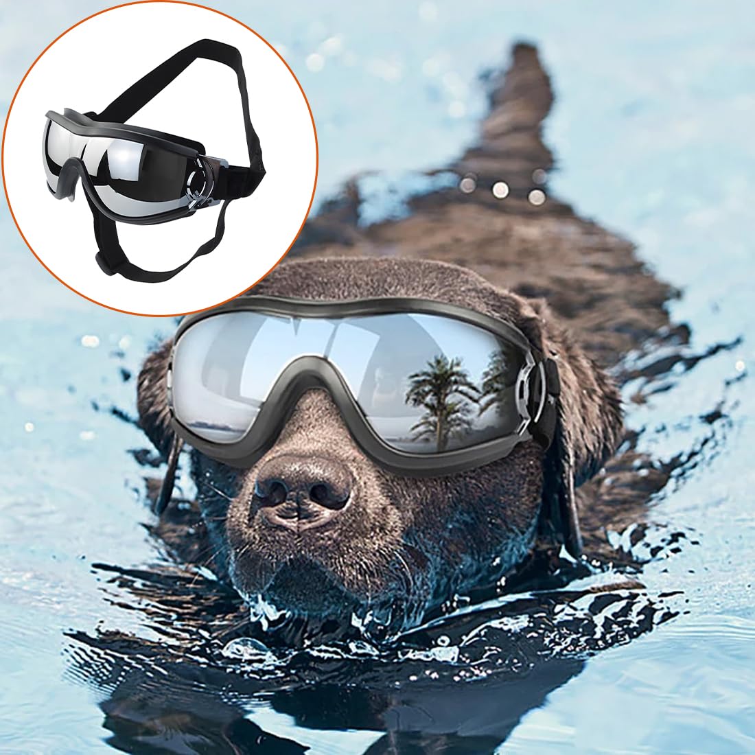 Occhiali per Cani Impermeabili con Protezione UV e Fascia Elastica Regolabile per Cani di Taglia Medio-Grande