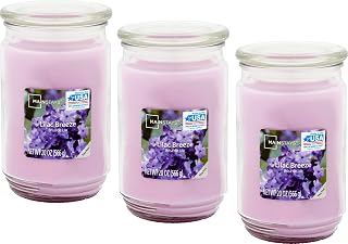 Mainstays 20oz Scented Candles 3-Pack (Lilac Breeze)
