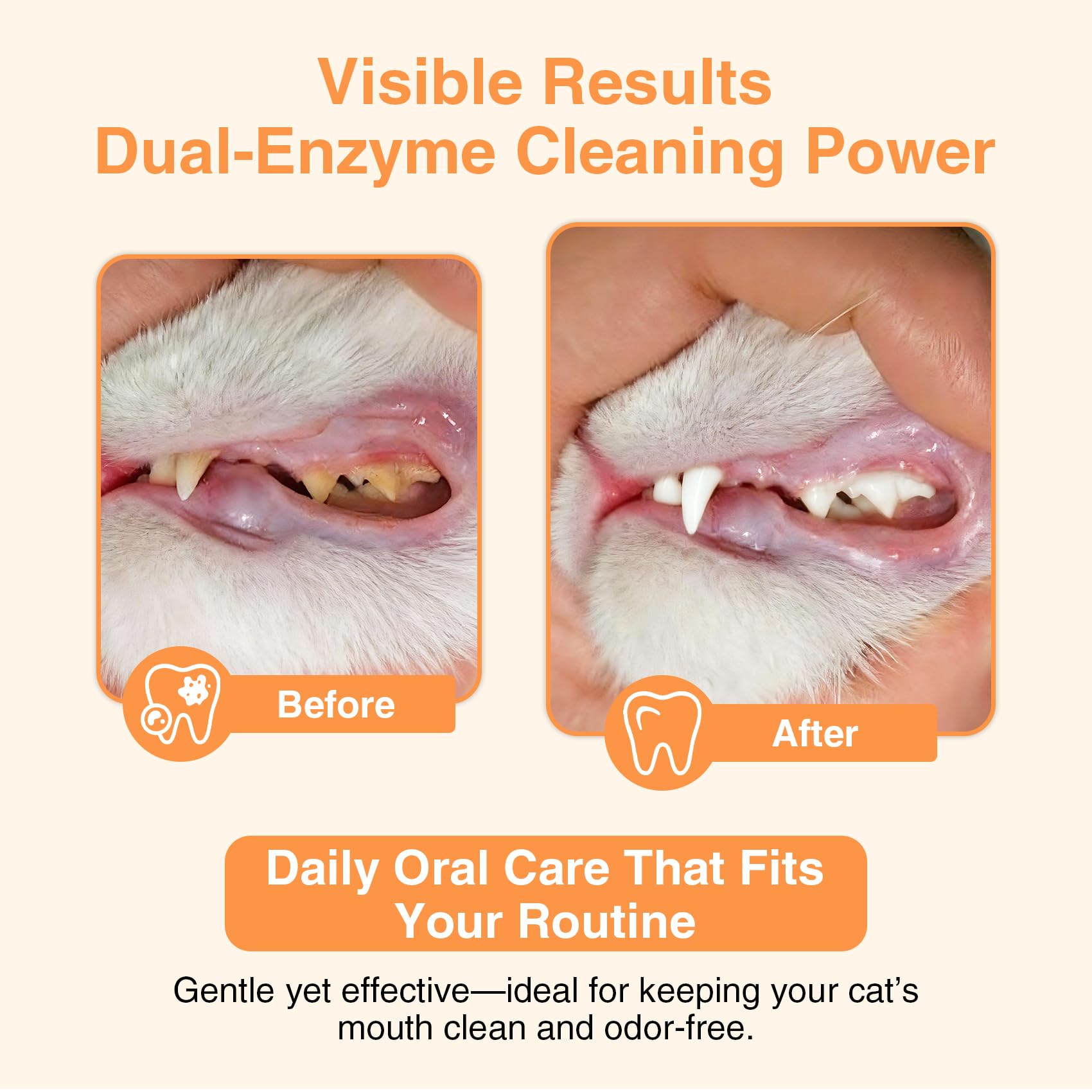 Enzymatic Cat Toothpaste Kit – Roast Chicken Flavor Dental Care for Cats & Kittens | Fights Plaque, Tartar & Bad Breath | Includes Toothbrush & Finger Brush, 1.06 oz - image 2