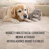Ver la foto 7