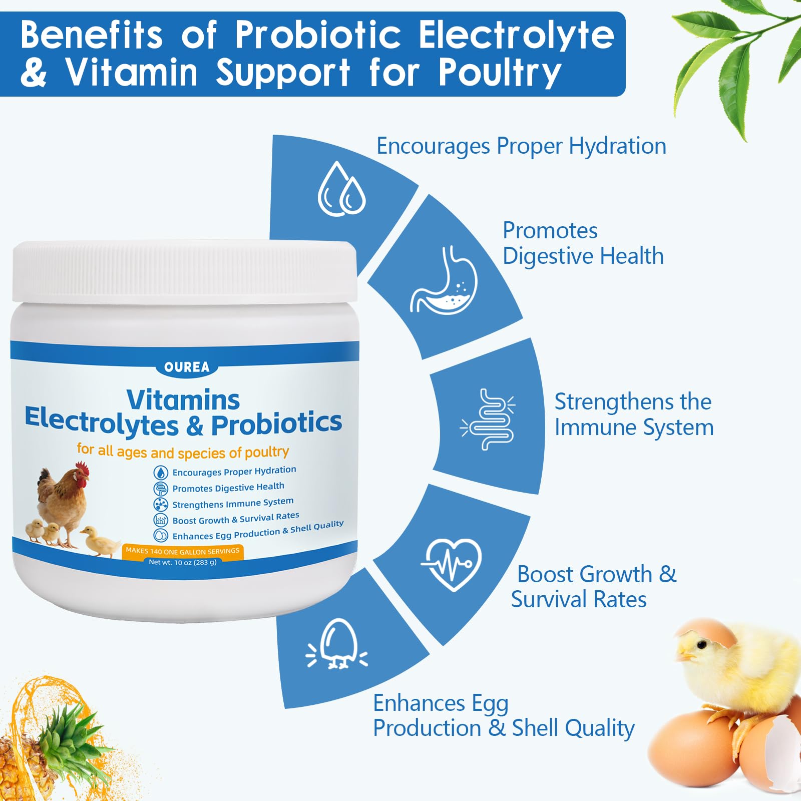 Chicken Vitamin, Electrolyte & Probiotic Powder for Hydration, Digestion, Immunity & Egg Production - Poultry Supplement for Chickens, Ducks & All Ages of Birds - All-Season Formula, 10 oz