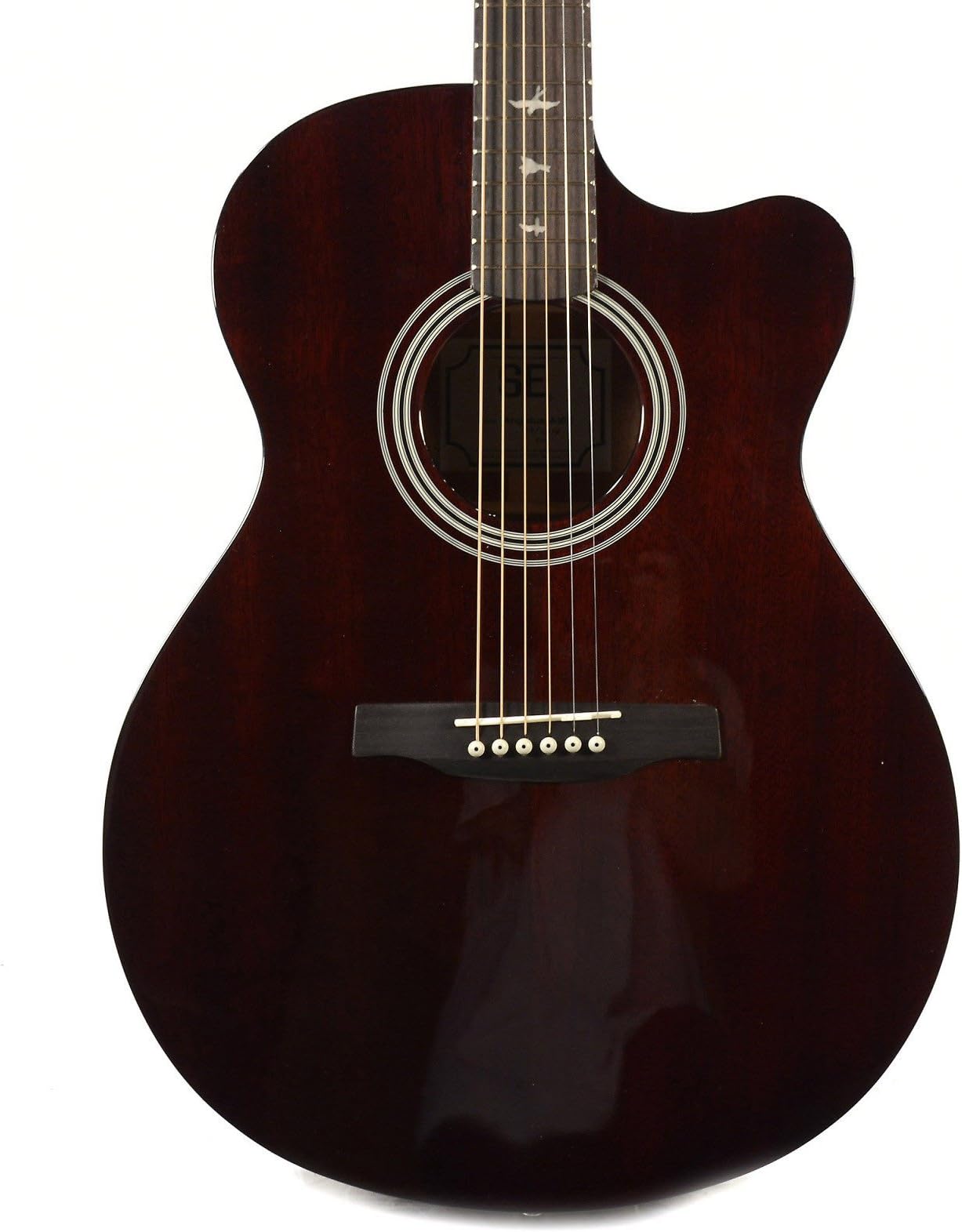 PRS SE Angelus A10E Mahogany Acoustic Guitar Tortoise Shell w/Hardshell Case